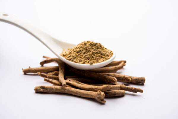 Ashwagandha is an Ayurveda medicine in stem and powder form. Isolated on plain background. selective focus